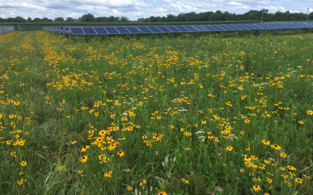 Large Solar Update: Richland County Solar Project