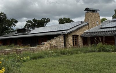 Aldo Leopold’s Land Ethic Electrified