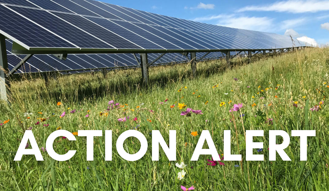 Action Alert: Vista Sands Solar Development At Risk