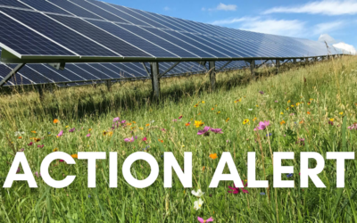 Action Alert: Show Support for Wisconsin’s Largest Solar Farm