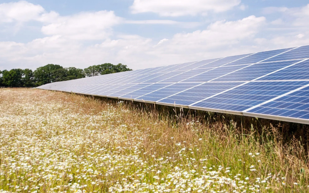 Maple Grove Solar Approved by the Public Service Commission of Wisconsin